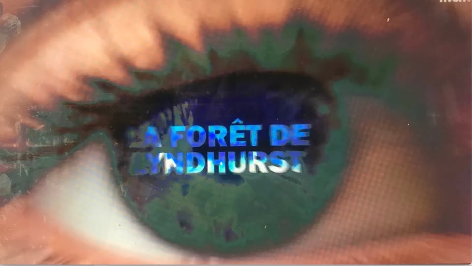 La Forêt de Lyndhurst